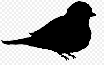 Beak Fauna Silhouette Font -  