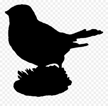 Beak Fauna Silhouette Font -  