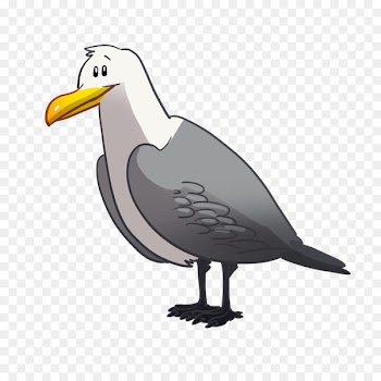 Beak Goose Cygnini Bird Grey Geese - goose 