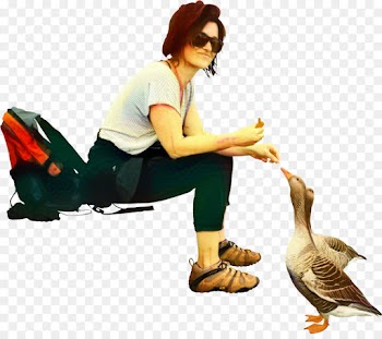 Beak, Human Behavior, Bird, Sitting PNG