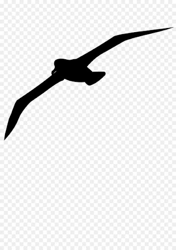 Beak Line Clip art Angle Silhouette -  