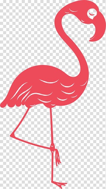 Beak Line , line transparent background PNG clipart