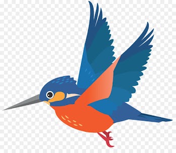 Beak Macaw Clip art Feather Wing - attrition graphic 