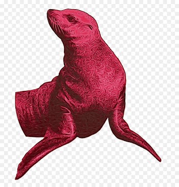 Beak, Marine Mammal, Mammal, Pink, Magenta PNG