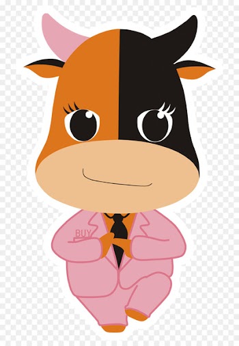 Beak, Nose, Character, Cartoon, Animated Cartoon PNG