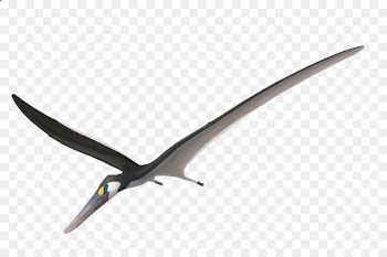 Beak - pterosaurs pictogram 