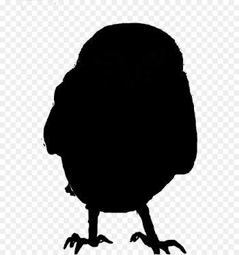 Beak Silhouette Clip art Landfowl -  