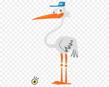 Beak Swans Goose Duck Water bird - goose 