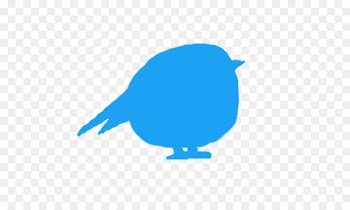 Beak Twitter Bird News Avatar - barack mockup 