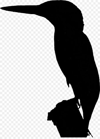 Beak Water bird Clip art Silhouette -  