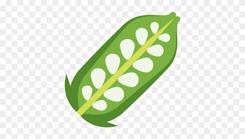 Bean Pea Scalable Vector Graphics Icon - Sesame