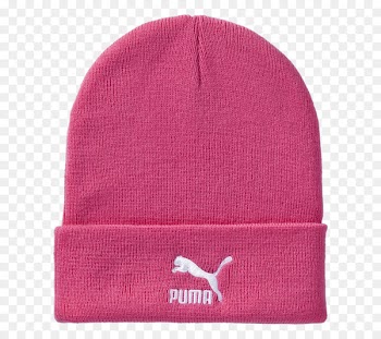 Beanie Knit cap Battlefield High School Fairfax High School - beanie 