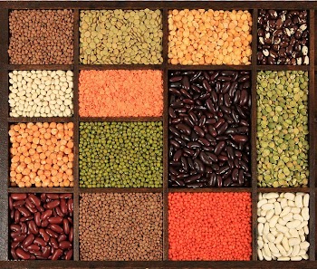 Beans series transparent background PNG clipart