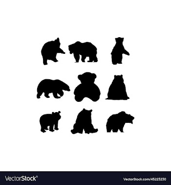 bear animal set collection design