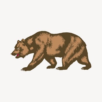 Bear clipart, wild animal illustration | Free Vector - rawpixel