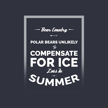 Bear country - Instagram banner ads