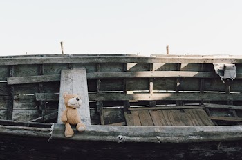 Bear On A Boat