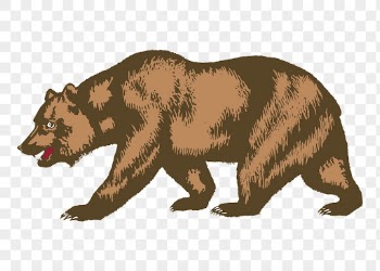 Bear png sticker, wildlife illustration | Free PNG - rawpixel