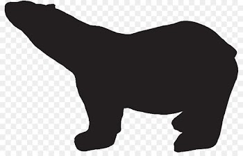 Bear, Polar Bear, Brown Bear, Animal Figure PNG