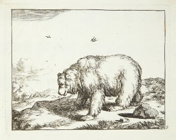 Bear standing, facing left by Marcus | Free Photo - rawpixel