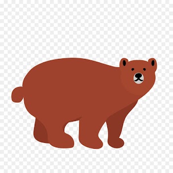 Bear Suzuki Ophthalmology Clinic Entertainer Person Canidae - bear 