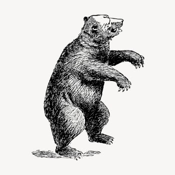 Bear, vintage animal clipart vector. | Free Vector Illustration - rawpixel