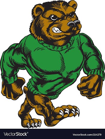 Bear walking tough vector image