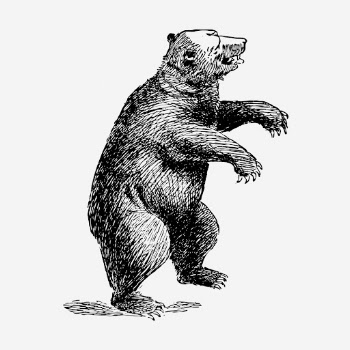 Bear, wild animal illustration. Free | Free Photo Illustration - rawpixel