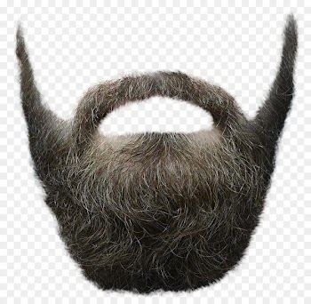 Beard Clip art - Beard 