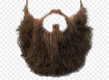 Beard Clip art - Beard PNG image 