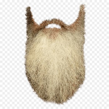 Beard Clip art - White beard 