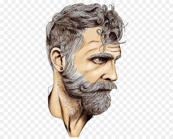 Beard Drawing Art Sketch - White bearded man 