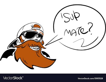 Beard guy vector image