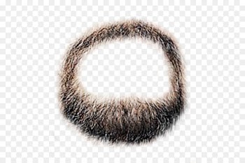 Beard Moustache - Beard 