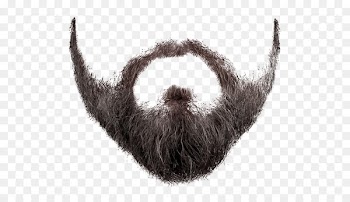 Beard Photography Clip art - beard and moustache 
