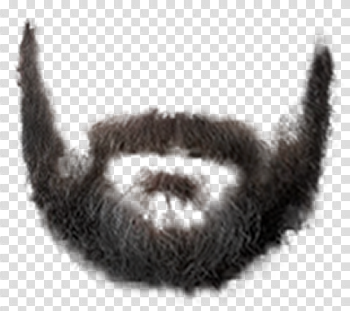 Beard PNG High-Quality Image