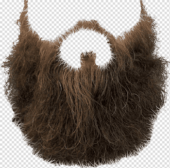 Beard PNG Pic