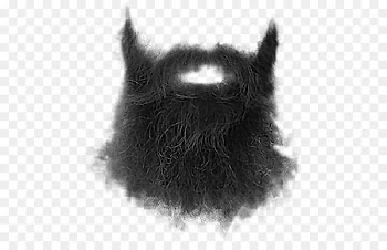 Beard Whiskers Moustache Goatee - Beard 