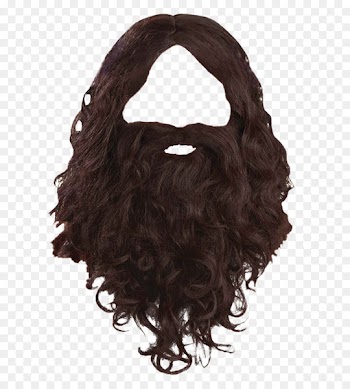 Beard Wig Facial hair Moustache - Beard 