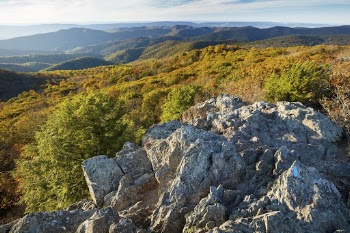 Bearfence Golden Hour. Free public | Free Photo - rawpixel
