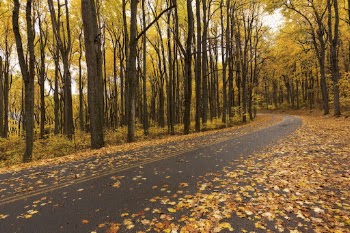 Beautiful Autumn aesthetic background, skyline | Free Photo - rawpixel