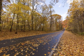 Beautiful Autumn aesthetic background, skyline | Free Photo - rawpixel