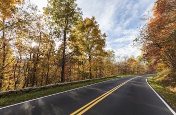 Beautiful Autumn aesthetic background, skyline | Free Photo - rawpixel