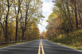 Beautiful Autumn aesthetic background, skyline | Free Photo - rawpixel