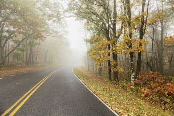Beautiful Autumn aesthetic background, skyline | Free Photo - rawpixel