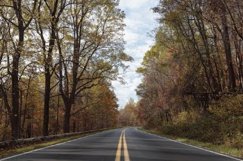 Beautiful Autumn aesthetic background, skyline | Free Photo - rawpixel