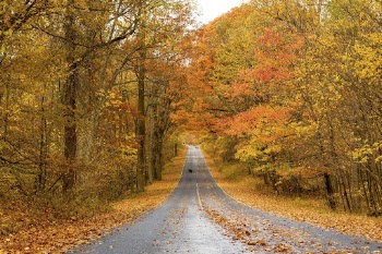 Beautiful Autumn aesthetic background, skyline | Free Photo - rawpixel
