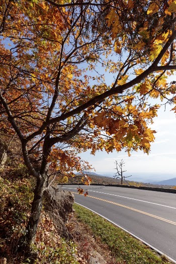 Beautiful Autumn aesthetic background, skyline | Free Photo - rawpixel