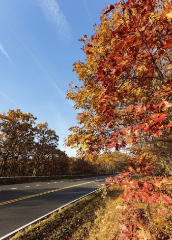 Beautiful Autumn aesthetic background, skyline | Free Photo - rawpixel