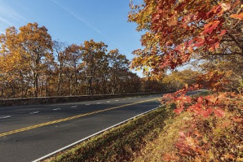 Beautiful Autumn aesthetic background, skyline | Free Photo - rawpixel